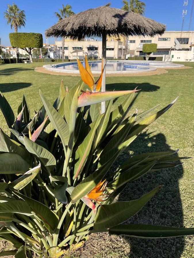 Apartamento Flamingo Gran Alacant Santa Pola Ngoại thất bức ảnh